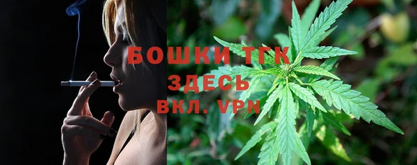 сатива Абинск