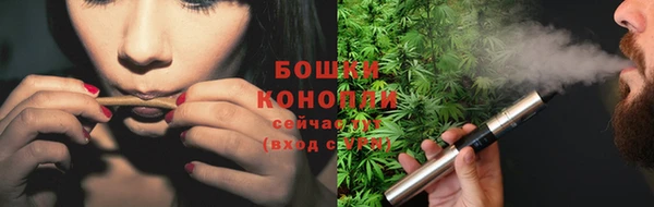 сатива Абинск