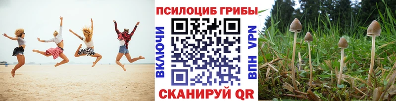 цены наркотик  Усолье-Сибирское  МЕГА онион  Галлюциногенные грибы ЛСД 